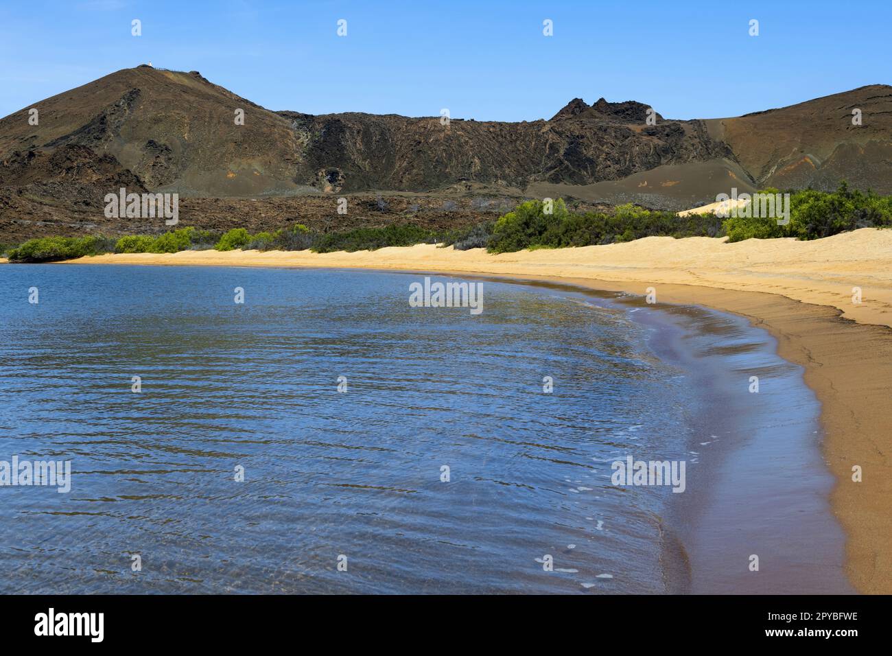 Playa Dorada auf den Galapagos-Inseln Stockfoto