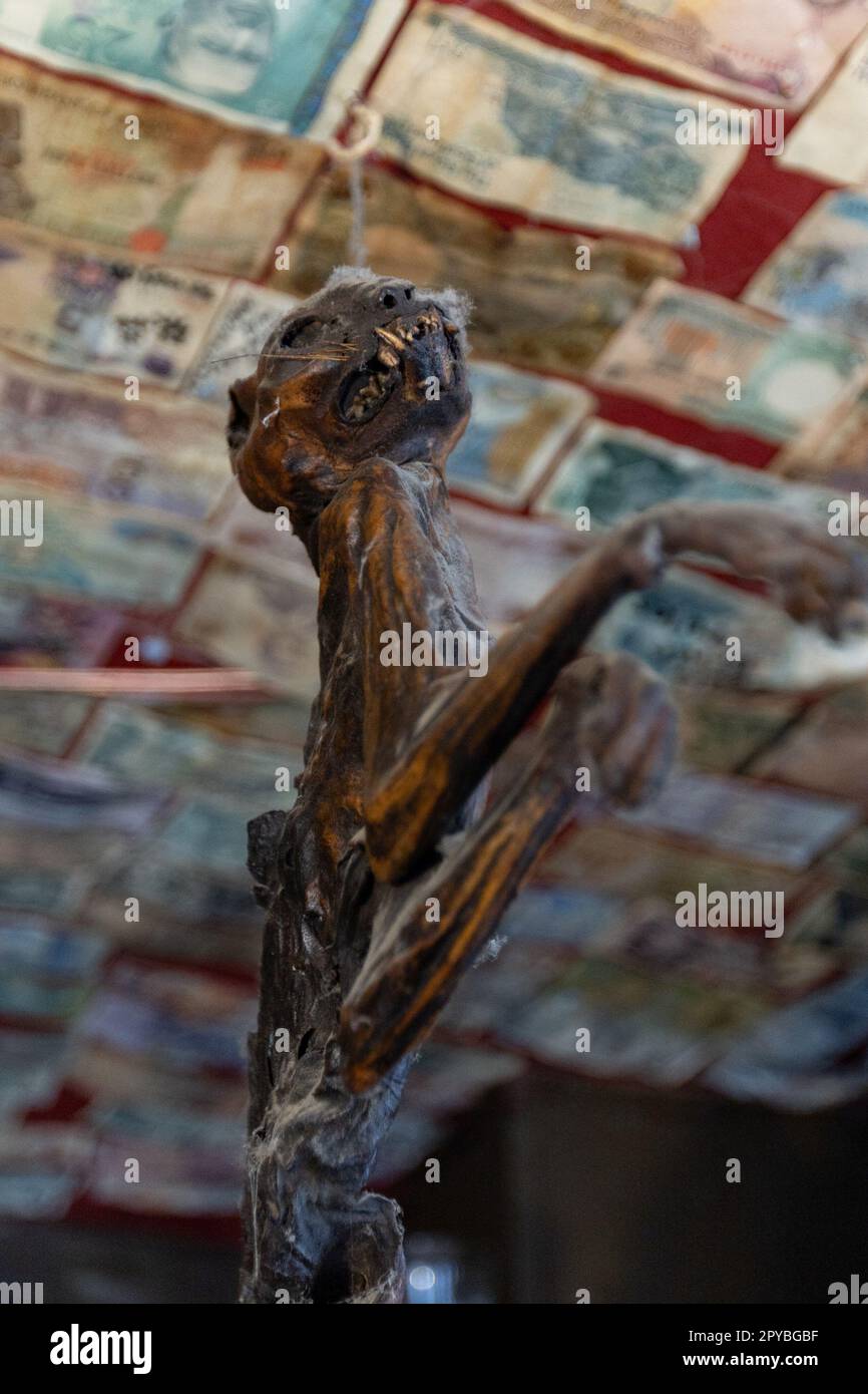 Die Kurzfassung am 12. Oktober 2022 in Bury St. Edmunds, Suffolk, England. Kurz gesagt, es ist der kleinste Pub in England. Kredit: SMP News Stockfoto