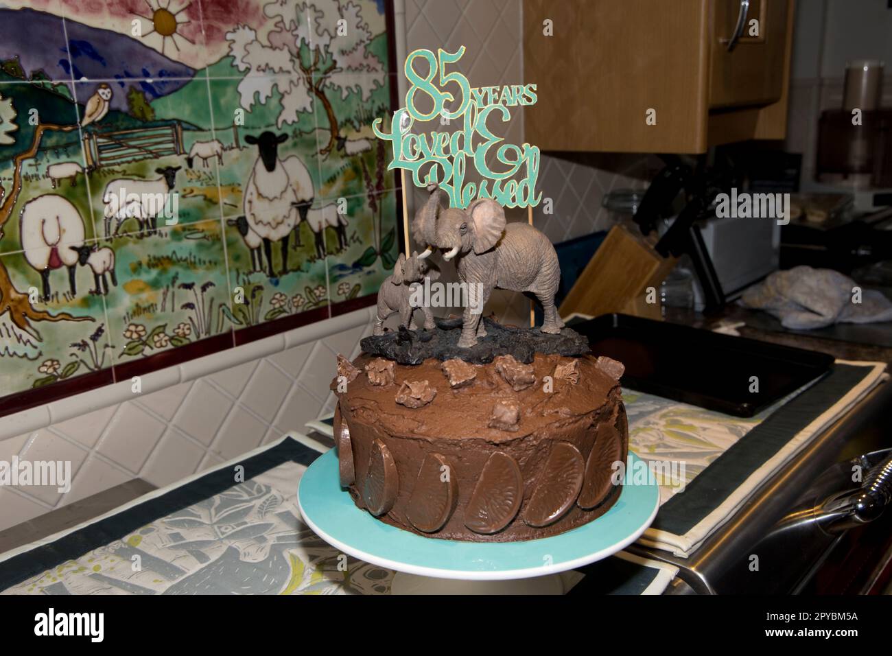 85. Schokoladen-Geburtstagskuchen mit afrikanischem Elefanten und Stockfoto