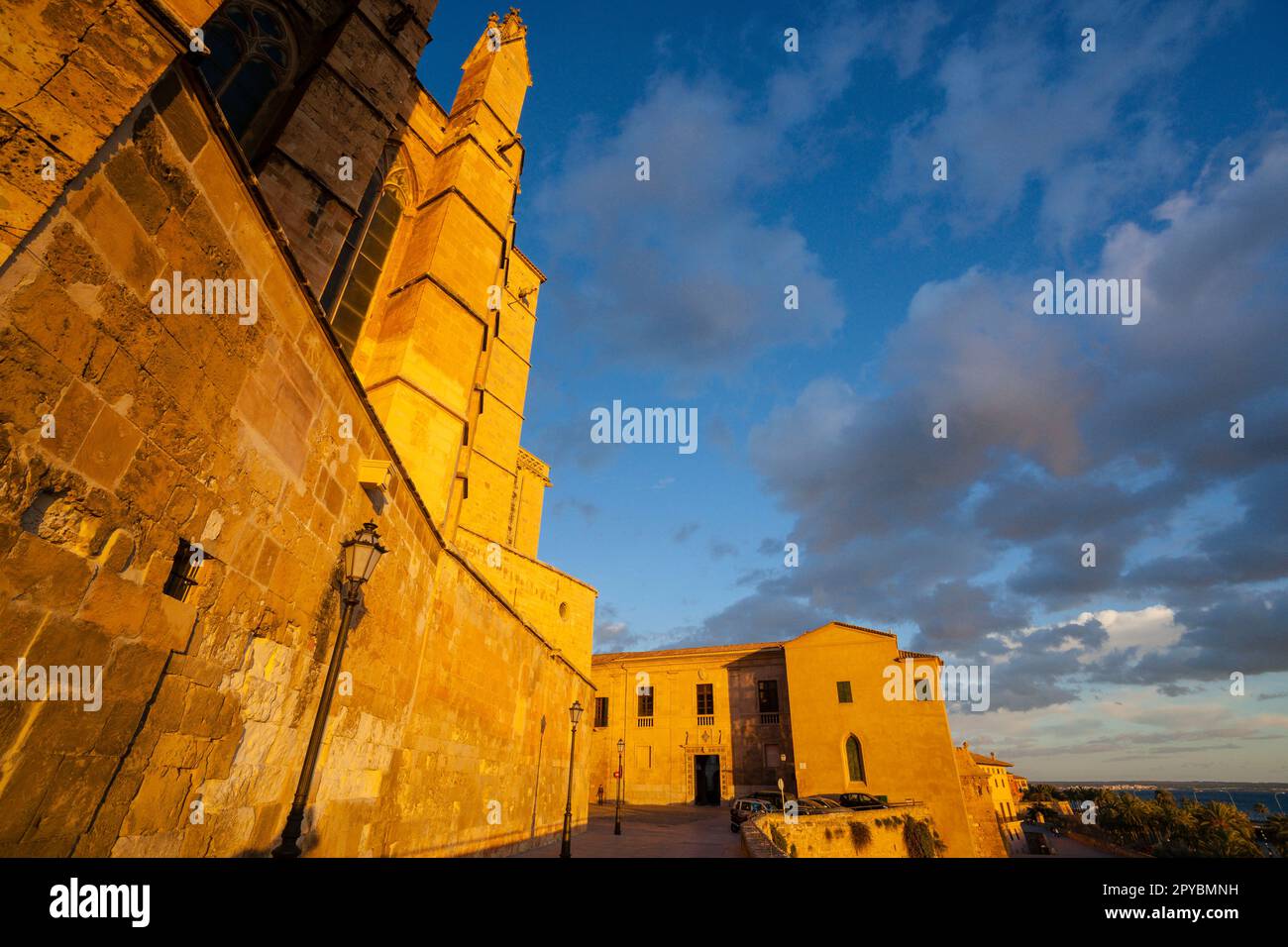 Portal tapiado en la plaza del mirador, Catedral de Mallorca , siglo XIII, Monumento Histórico-artístico, Palma, mallorca, islas baleares, España, eu Stockfoto