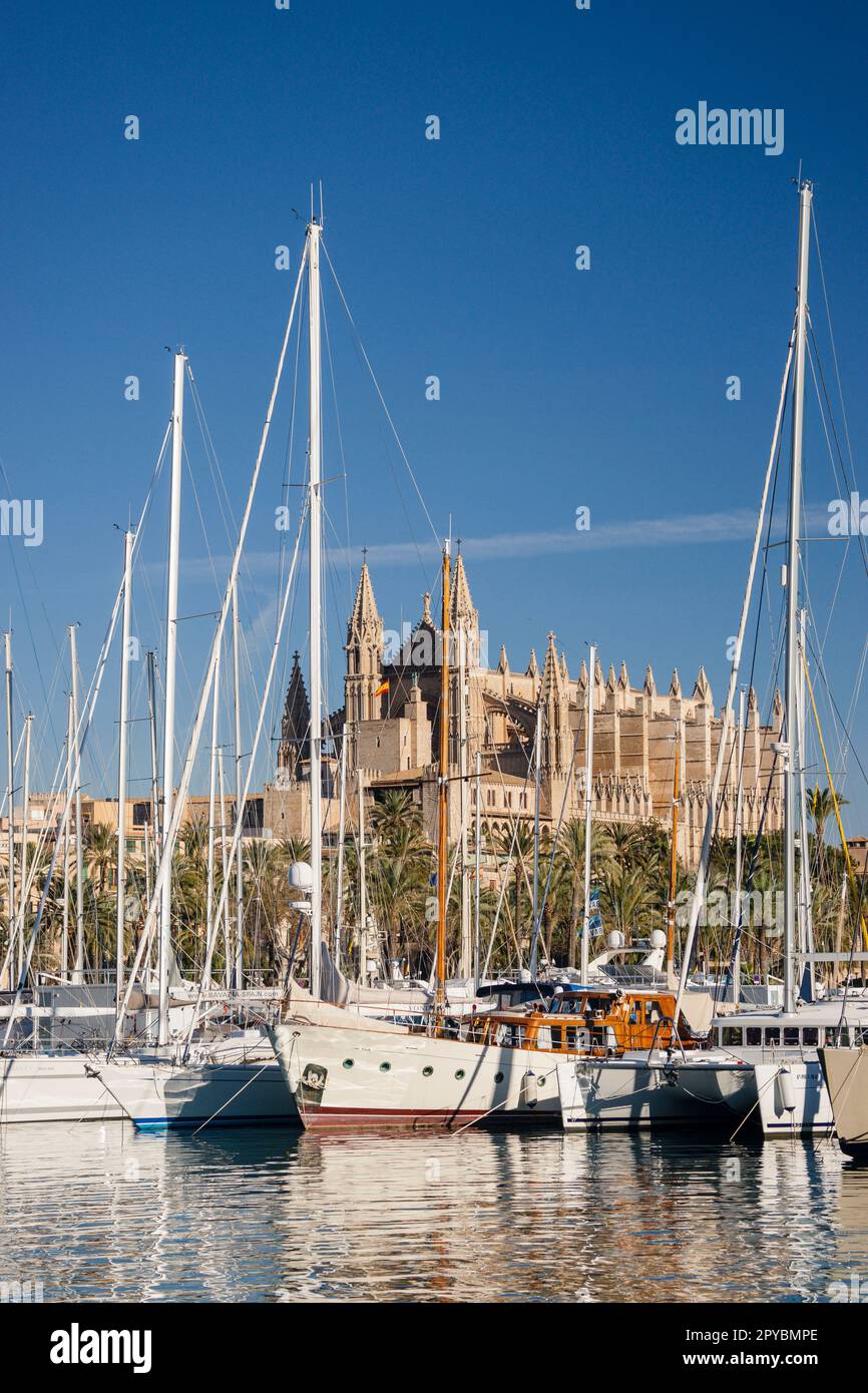 Catedral de Palma desde Moll de la Riba, Palma, mallorca, islas baleares, españa, europa Stockfoto