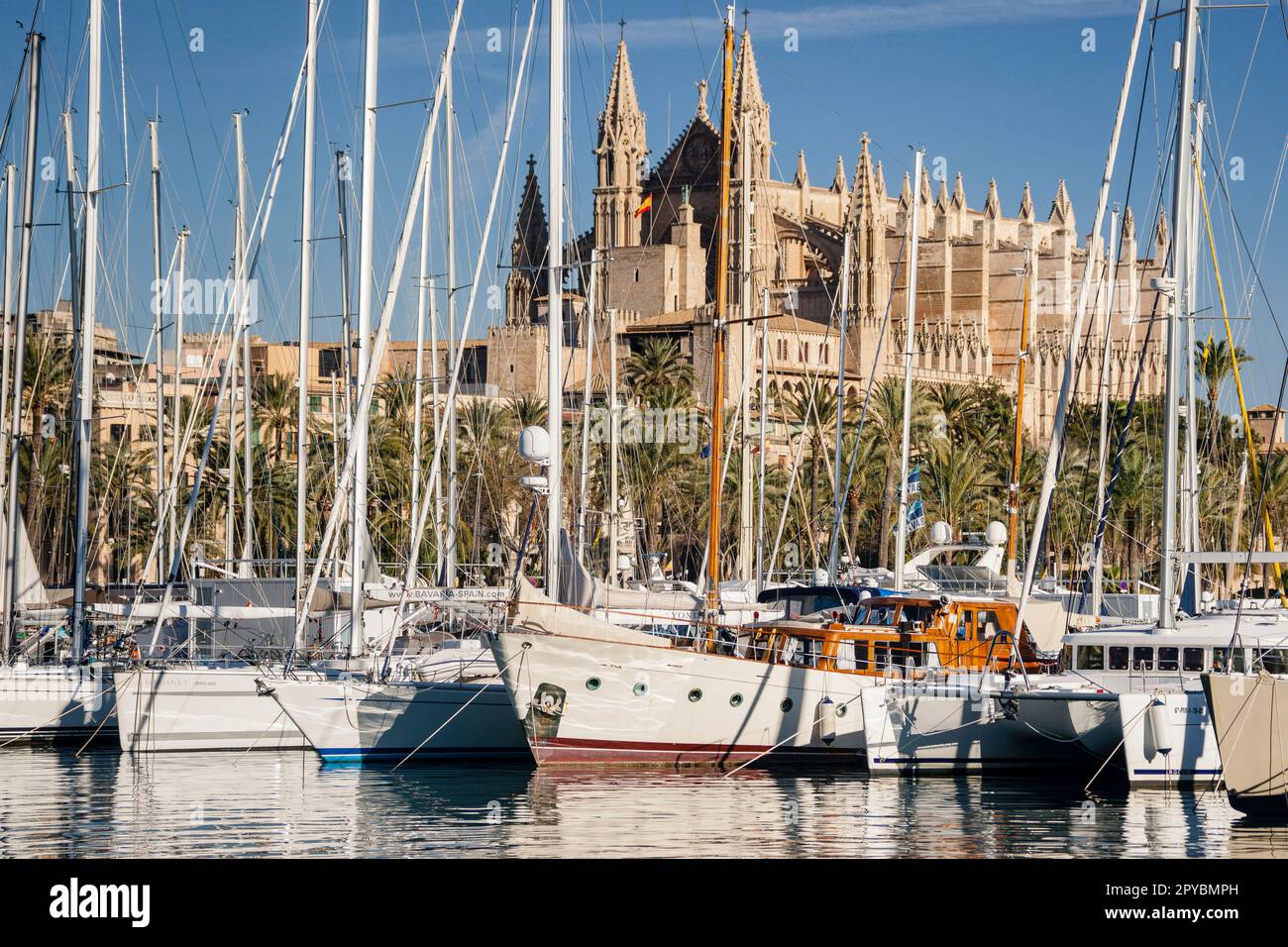 Catedral de Palma desde Moll de la Riba, Palma, mallorca, islas baleares, españa, europa Stockfoto