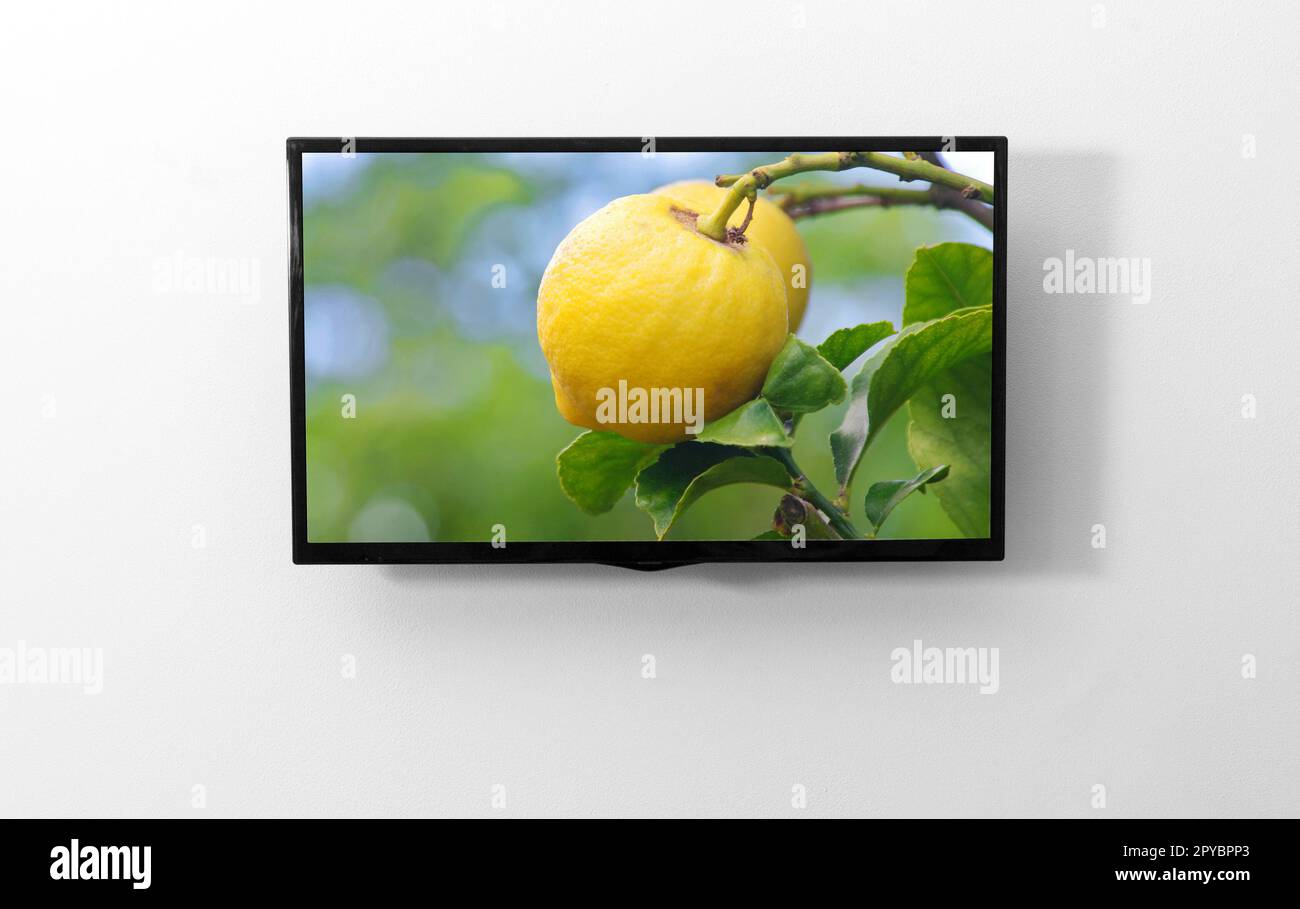 TV-Monitor an der Wand Stockfoto