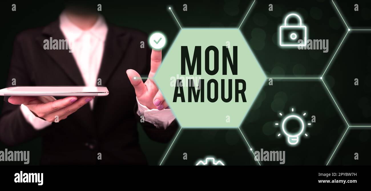 Textbeschriftung mit MON Amour. Konzeptfoto französischer Name des Liebhabers Happy Valentines Day Stockfoto