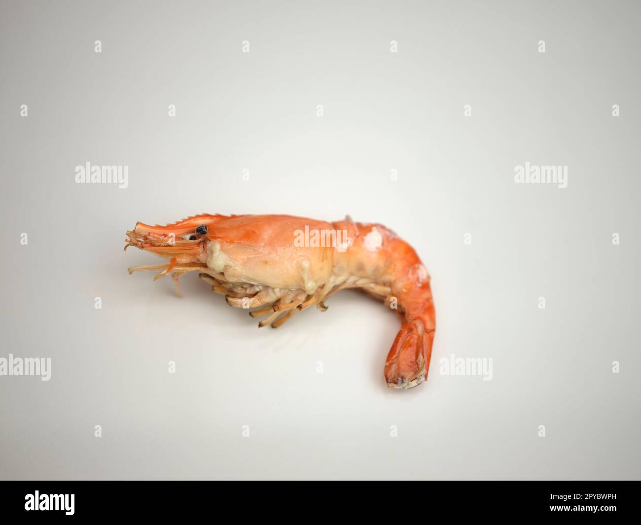 Gegrillte Garnelen oder gegrillte Garnelen , Thai Seafood Stockfoto
