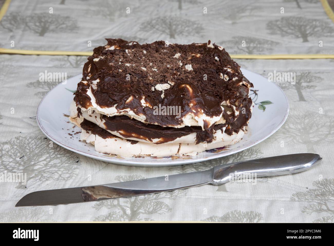 Österreichischer Schokoladenkuchen Stockfoto