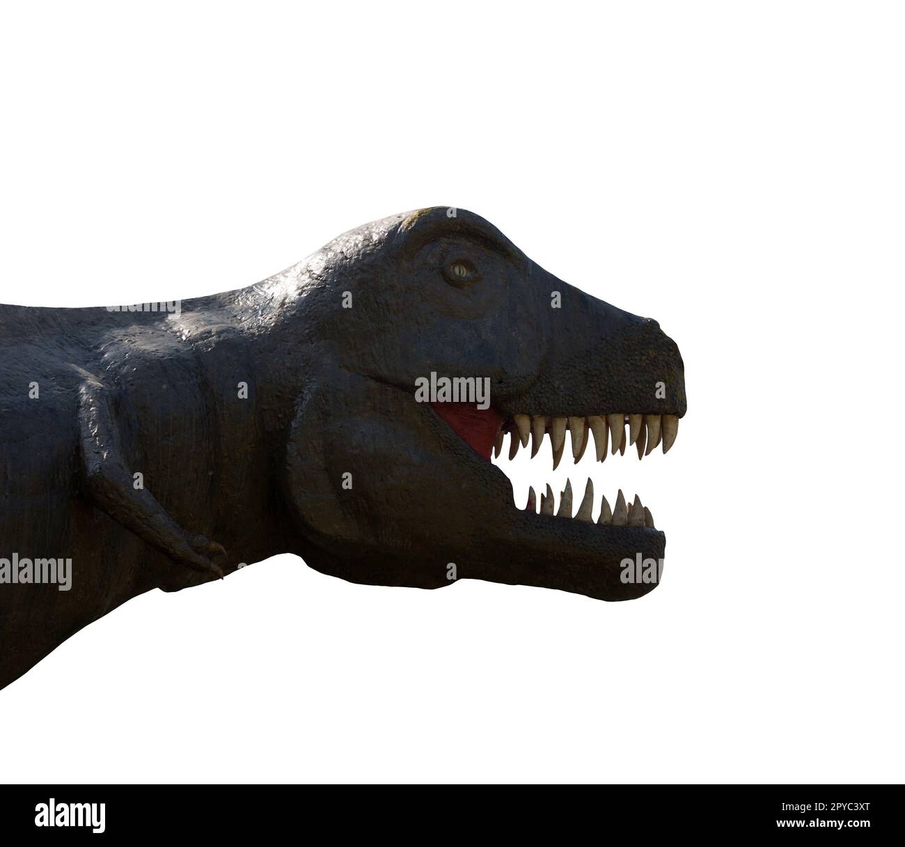 Isolierter grosser prähistorischer Tyrannosaurus Dinosaurier mit offenem Mund Stockfoto