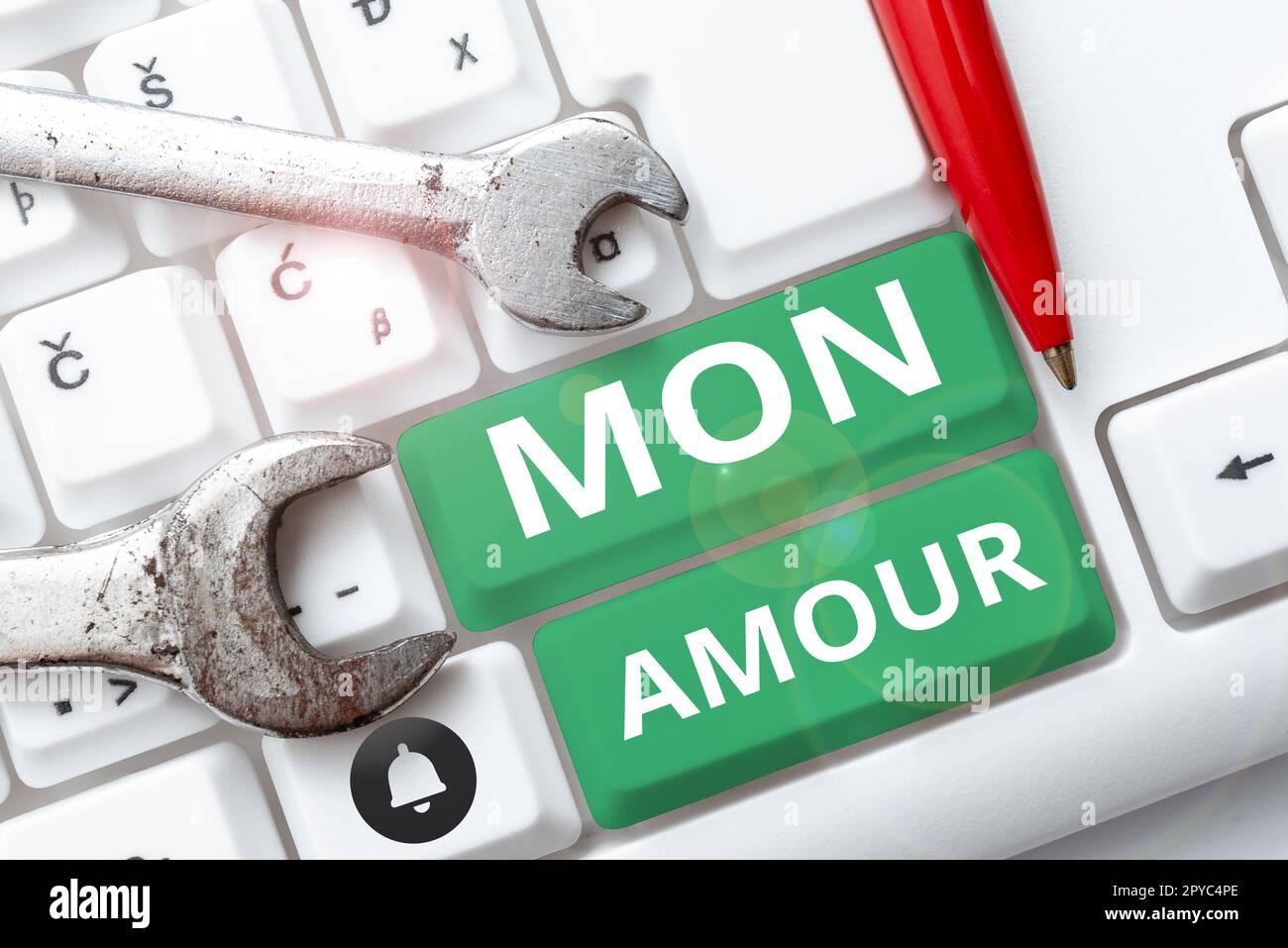 Textzeichen mit der Aufschrift MON Amour. Internetkonzept französischer Name des Liebhabers Happy Valentines Day Stockfoto