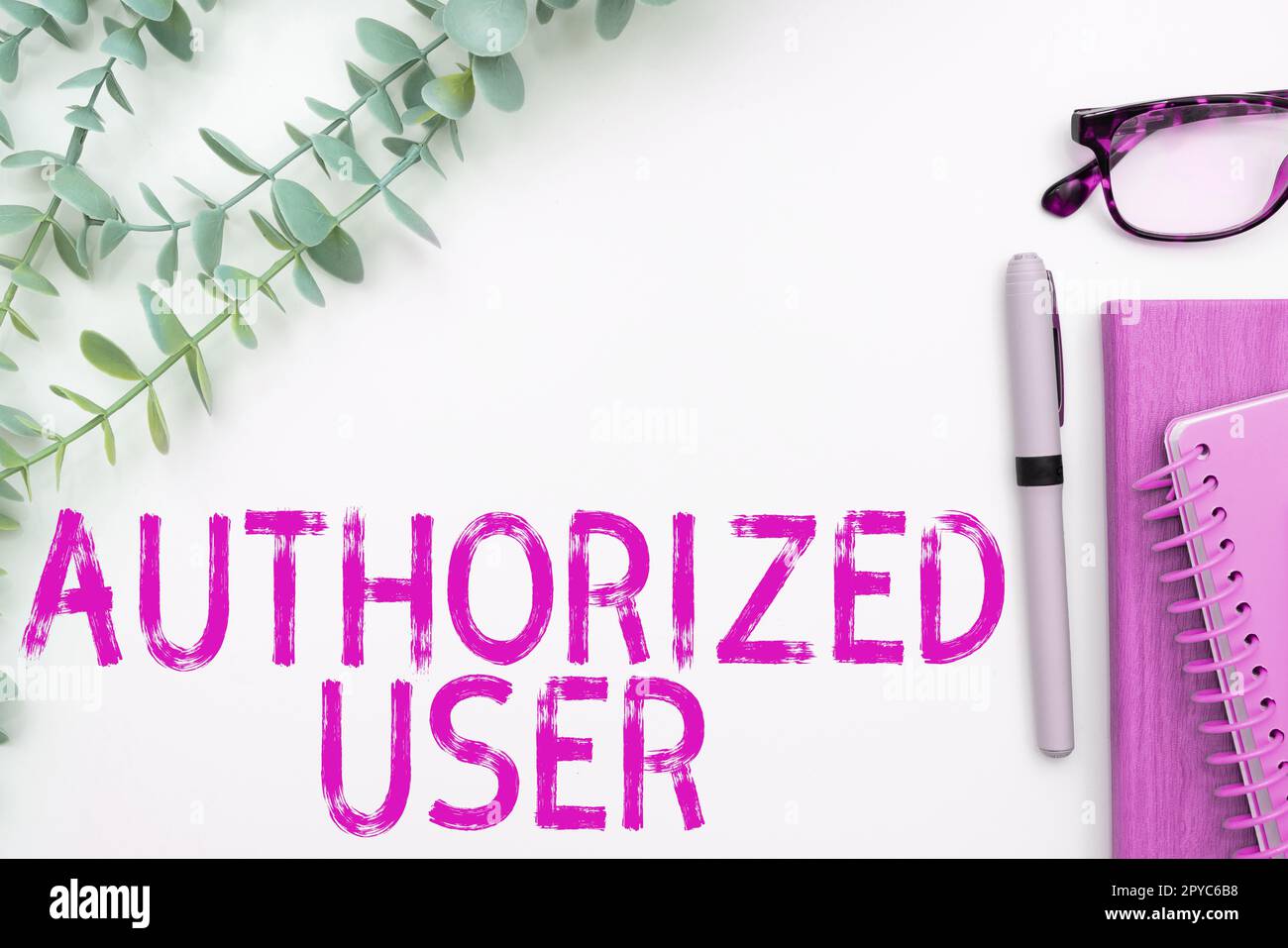 Konzeptionelle Anzeige autorisierter Benutzer. Wort für Person, der die Berechtigung erteilt wurde, Zugriff zu verwalten oder Entscheidungen zu treffen Stockfoto