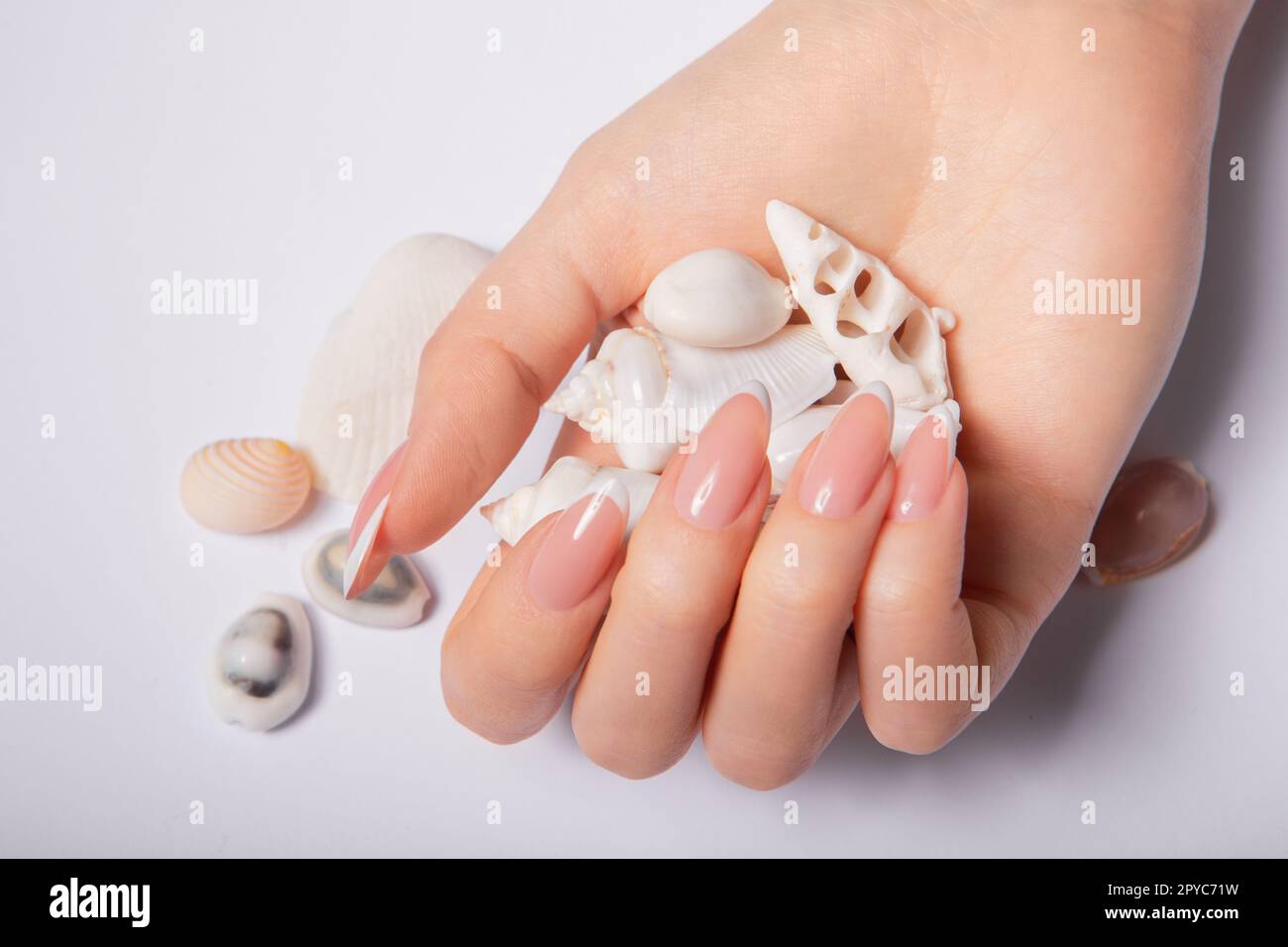 Hände mit langen Nägeln und maniküre mit Muscheln Stockfoto