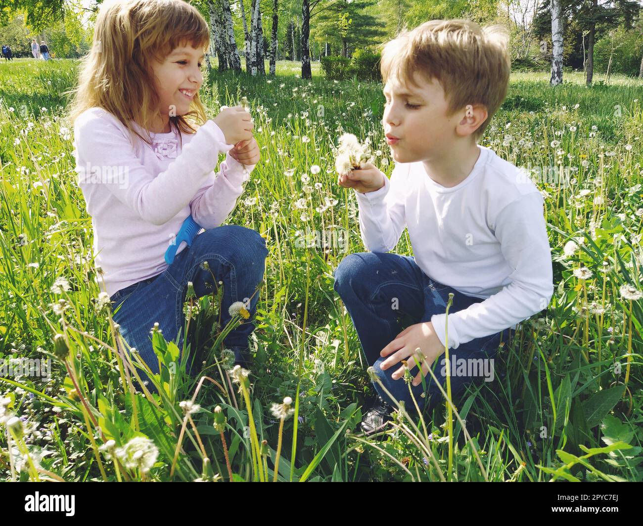 Junge und Mädchen auf der Wiese. Kinder spielen in der Natur. Frühling oder Sommer. Jeans und ein weißes Hemd. Stockfoto
