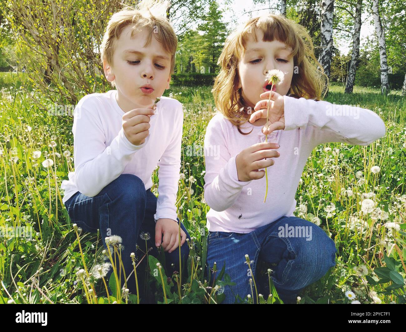 Junge und Mädchen auf dem Rasen. Süße Kinder pflücken Wiesenblumen und blasen auf Löwenkerne. Die Kinder tragen weiße Blusen und blaue Jeans Stockfoto