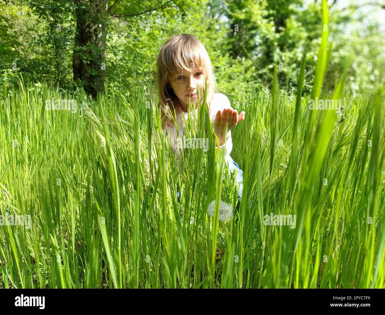 Mädchen im grünen Gras. Das Kind hat blonde, lange Haare und eine weiße Bluse. Das Konzept der Harmonie mit der Natur und der Pflege der Ökologie. Gesunder Lebensstil Stockfoto