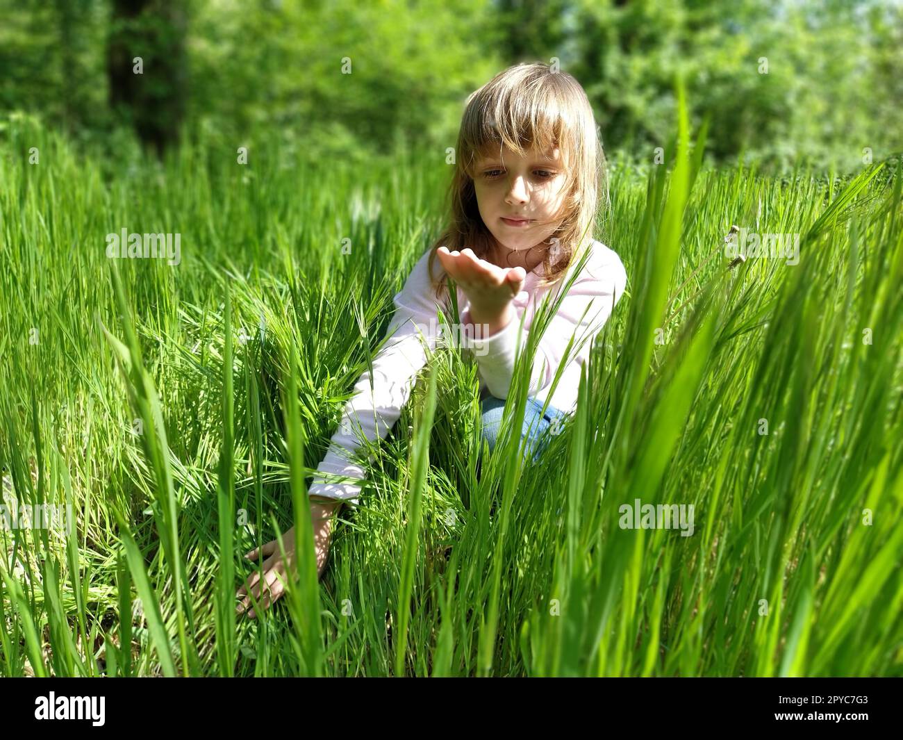 Nettes Mädchen im grünen Gras. Das Kind hat blonde, lange Haare und eine weiße Jacke. Das Mädchen schaut auf ihre Handfläche, in der anderen Hand berührt es das hohe Gras. Farbenfrohes Foto. Sonniges Wetter. Ruhe in der Natur Stockfoto