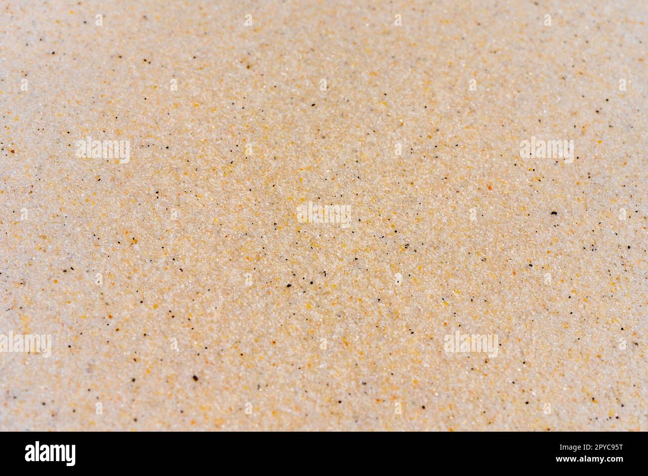 Makro-Nahaufnahme der Sandstruktur. Hintergrund aus feinem Sand. Hochwertiges Foto Stockfoto