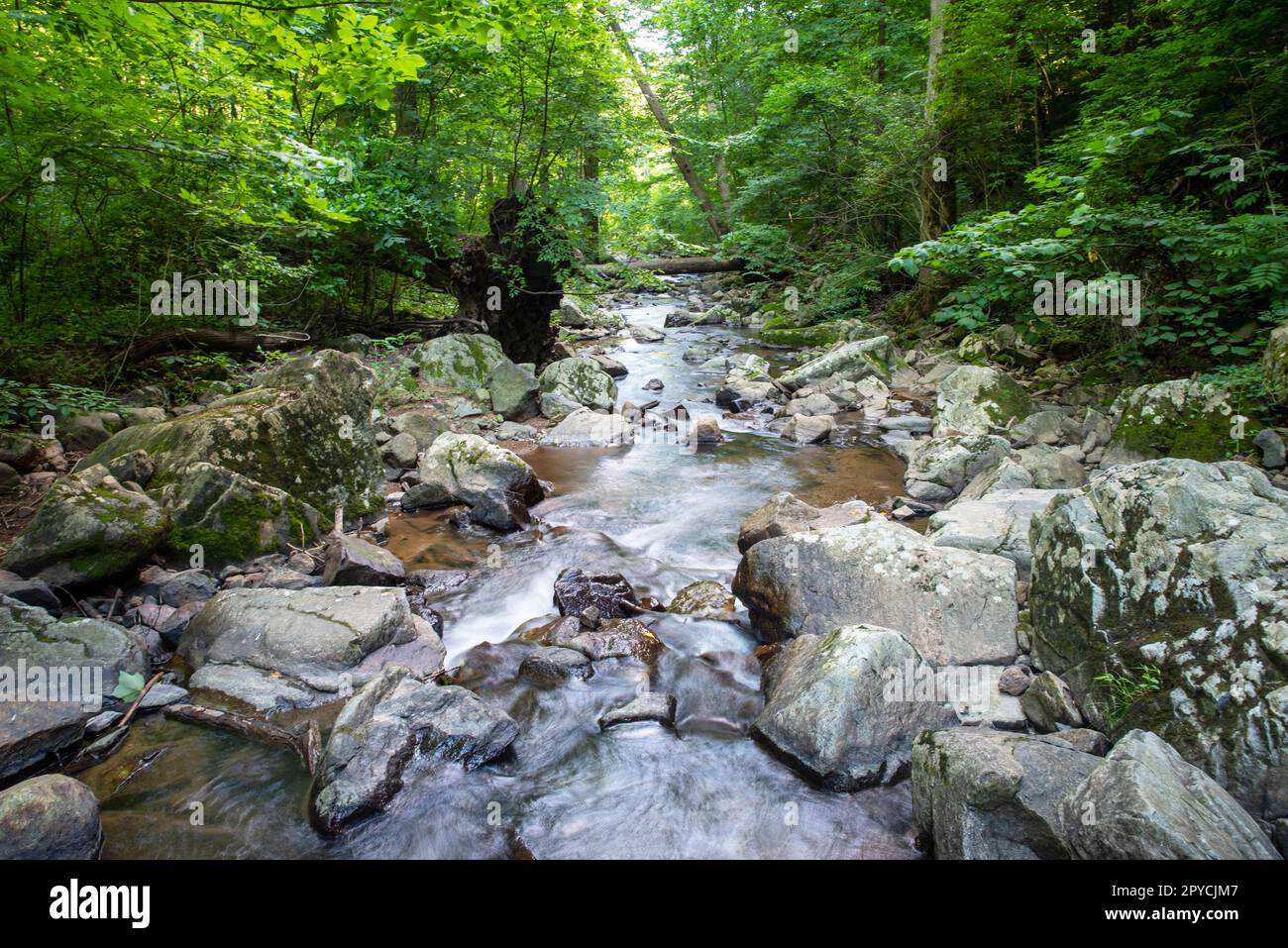 Langzeitbelichtung eines idyllischen Waldflusses mit Fußgängerbrücke Stockfoto