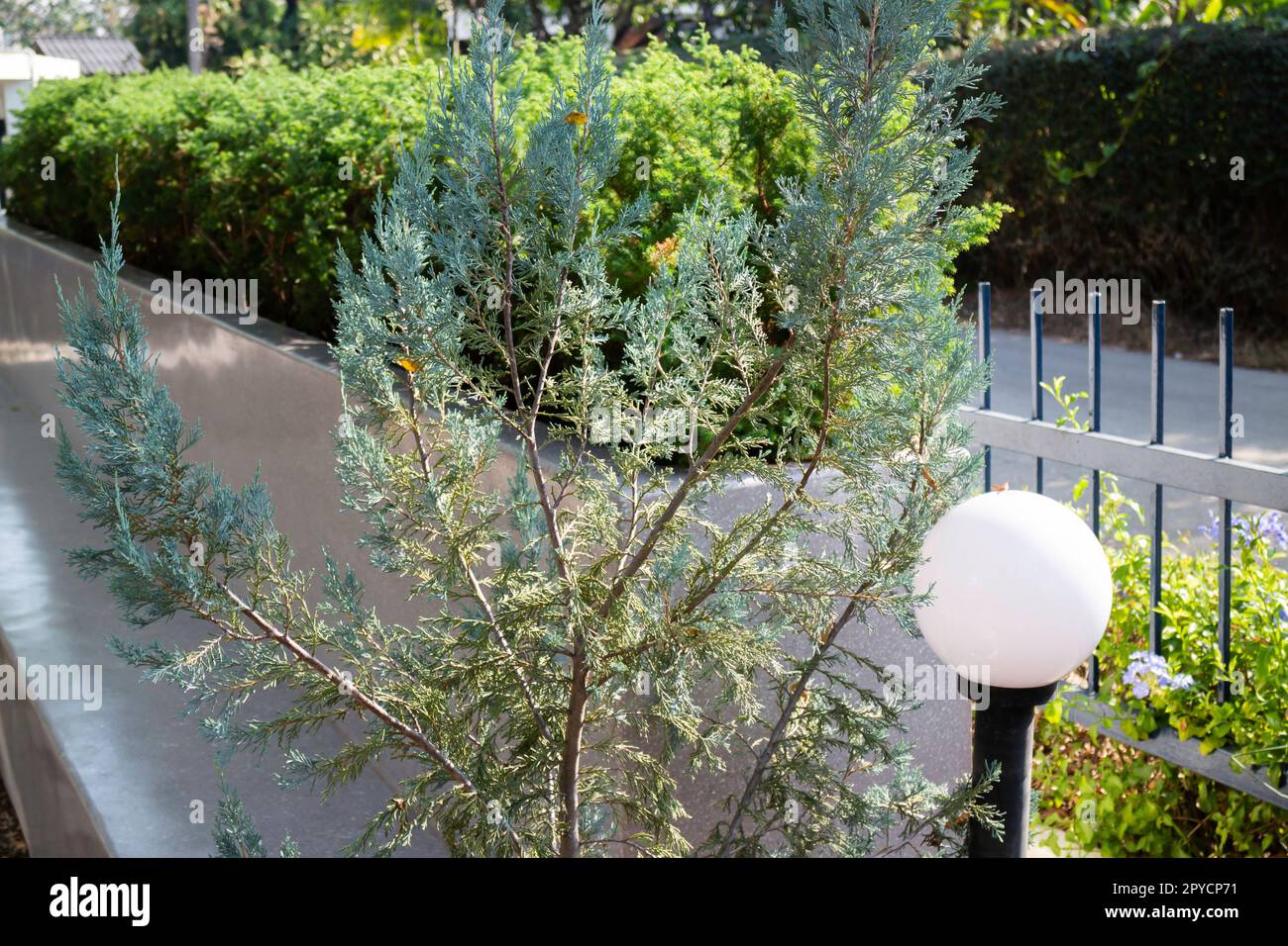 Renovierungshaus im chinesischen Architekturstil Stockfoto