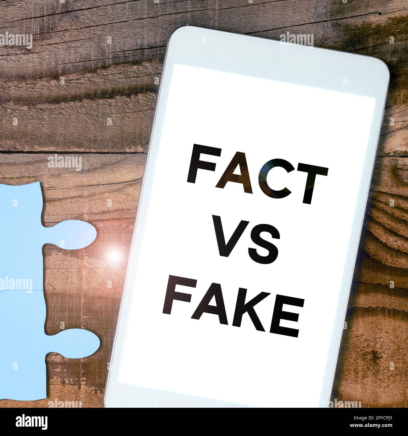 Konzeptionelle Darstellung von Fakten vs. Fälschungen. Geschäftsinitiative ist es wahr oder