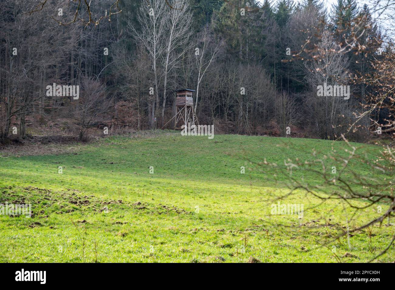 Hirschstand aus Holz auf einem Hügel vor dem Wald, Blick aus der Ferne Stockfoto