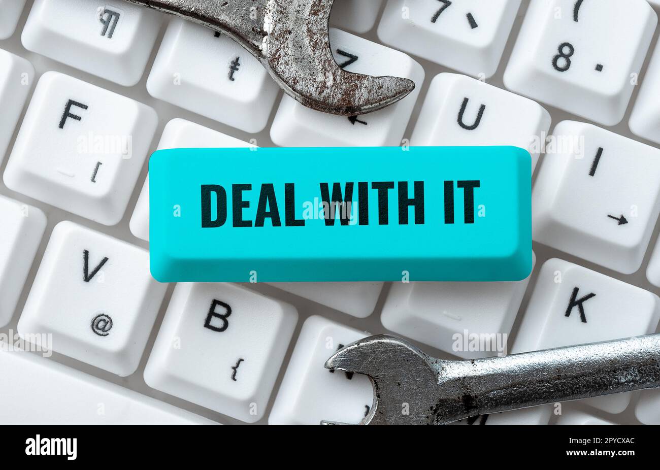 Textzeichen, das „Deal With IT“ anzeigt. Geschäftsbeispiele passen sich an eine bestimmte Situation an und bleiben in Bewegung Stockfoto