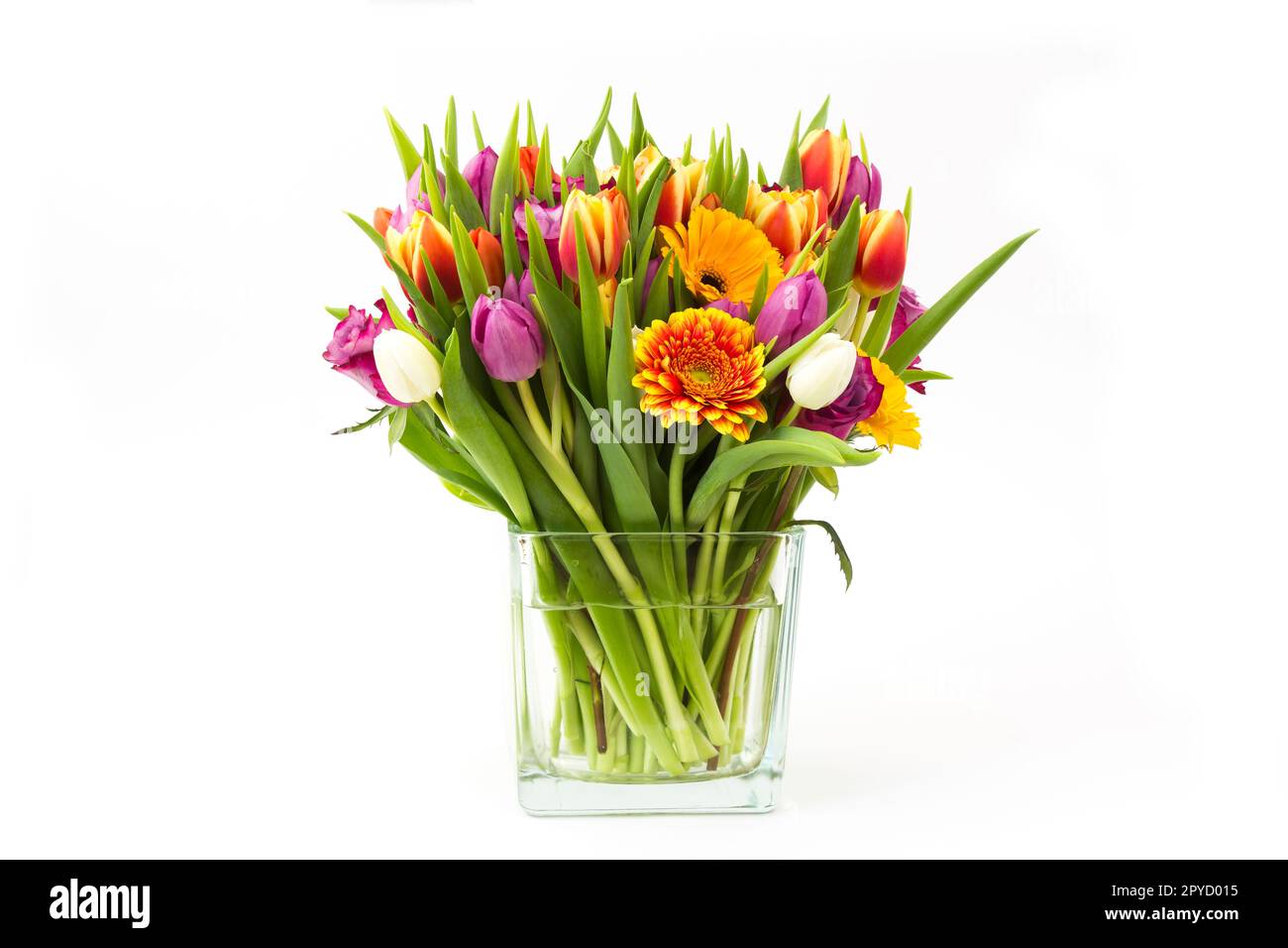 Blumen in einer Vase auf weißem Hintergrund Stockfoto