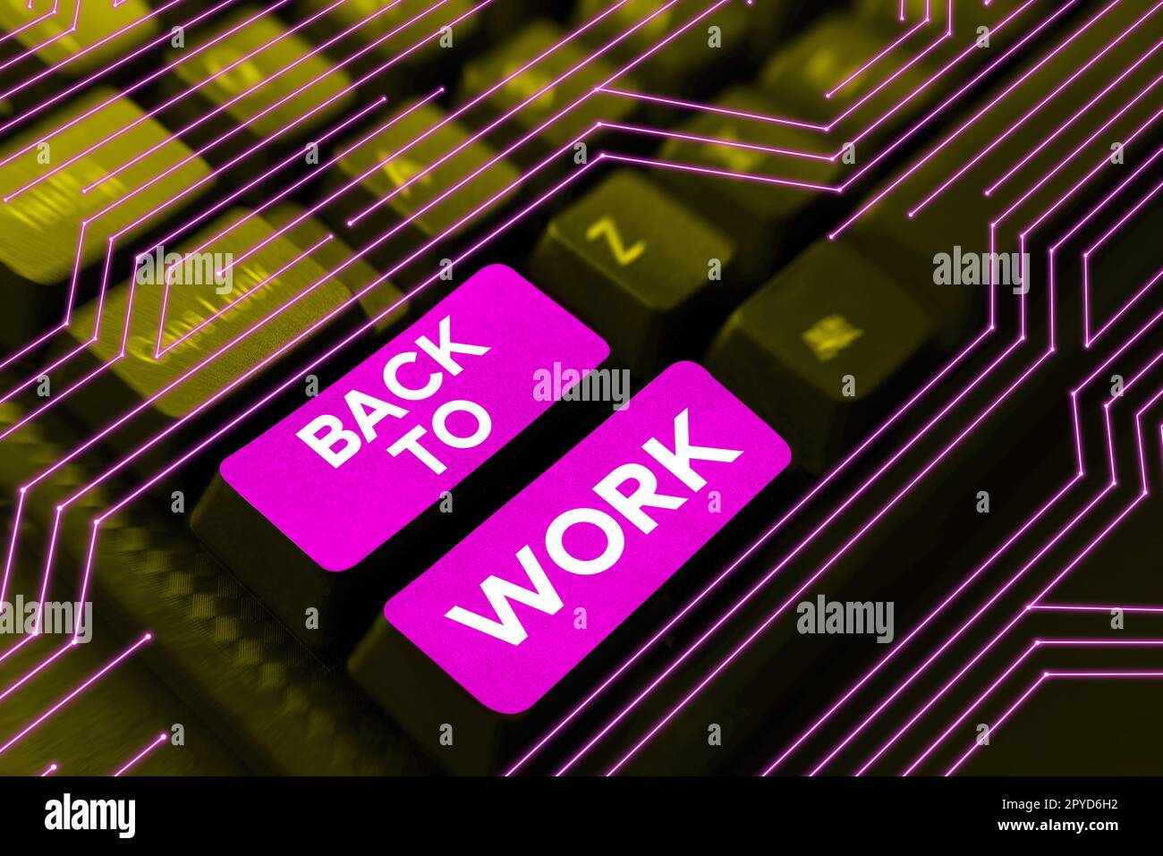 Schild mit der Anzeige „Zurück zur Arbeit“. Geschäftskonzept Rückkehr in die Arbeitsroutine Ende der Ferien oder Freizeit Stockfoto