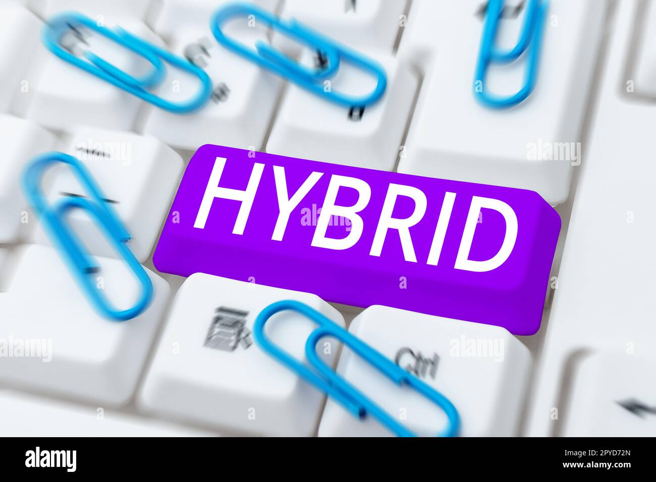 Textzeichen mit Hybrid. Nachkommen von zwei Pflanzen oder Tieren verschiedener Arten oder Sorten im Internet Stockfoto