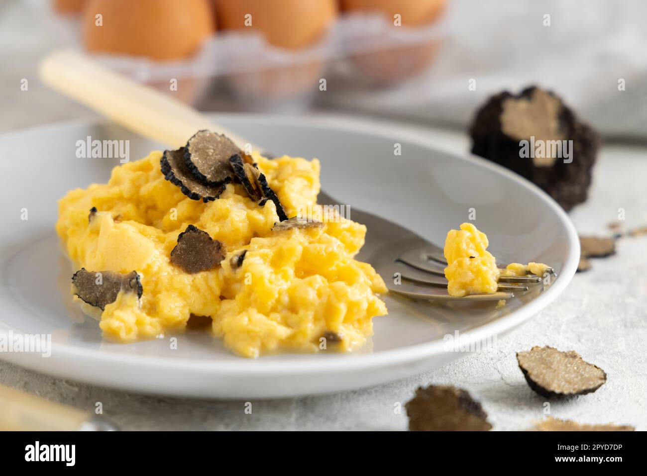 Rühreier mit frischen schwarzen Trüffeln aus Italien, serviert auf einem Teller aus nächster Nähe, Gourmet-Frühstück Stockfoto