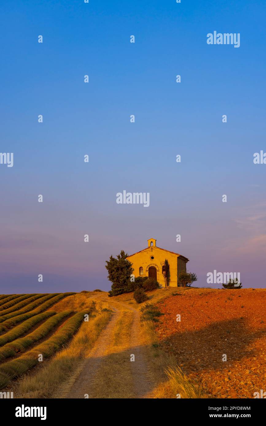 Kapelle in Plateau de Valensole, Provence, Frankreich Stockfoto