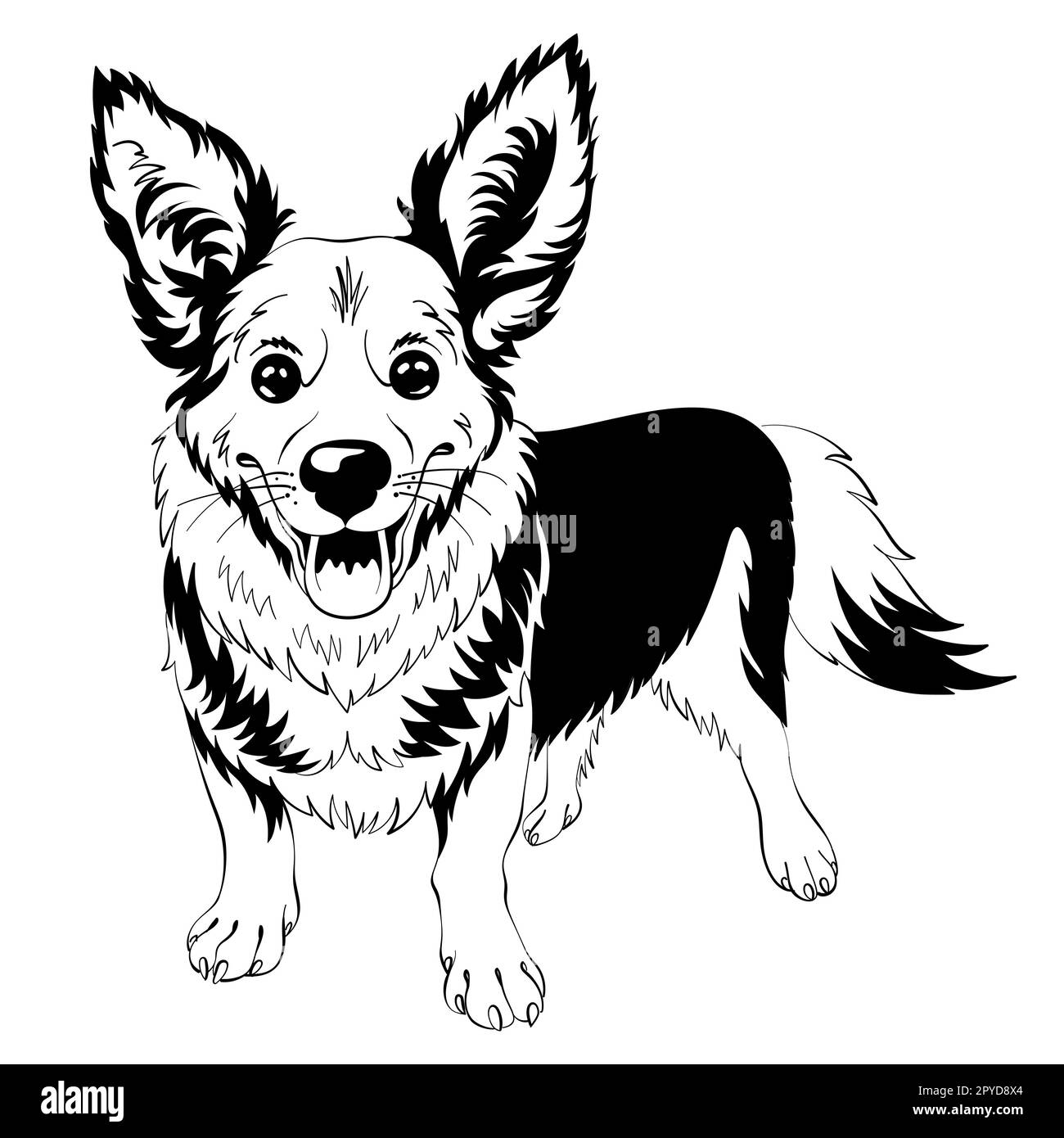 Schwarzweiß-Skizze des Hundes Welsh Corgi, der bleibt und lächelt Stockfoto