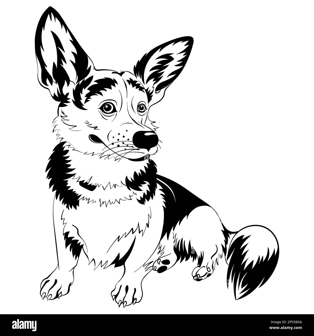 Schwarz-Weiß-Skizze des Hundes Welsh Corgi, der sitzt und lächelt Stockfoto