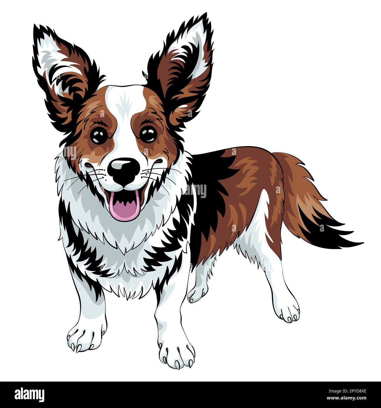 vektorskizze Hund Cardigan Welsh Corgi Stockfoto