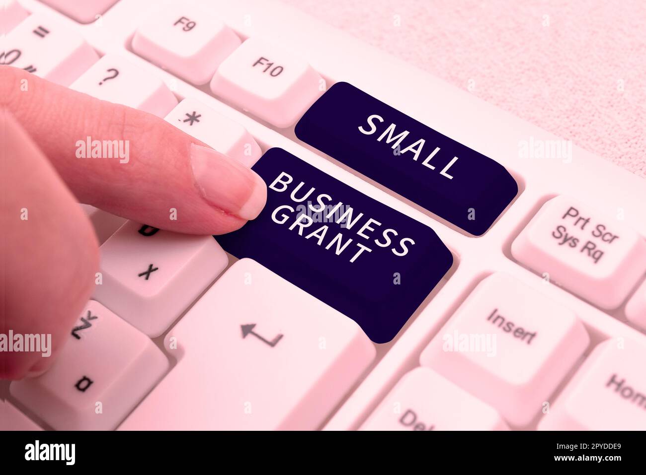 Konzeptüberschrift „Small Business Grant“. Wort für ein Privatunternehmen, das für seine begrenzte Größe bekannt ist Stockfoto