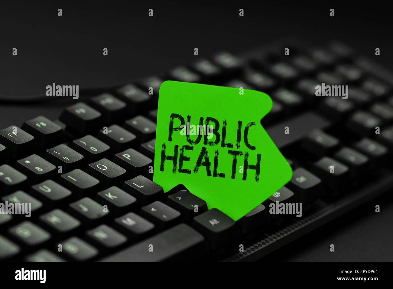 Konzeptunterschrift Public Health. Geschäftsidee zur Förderung eines gesunden Lebensstils für die Gemeinschaft und ihre Menschen Stockfoto