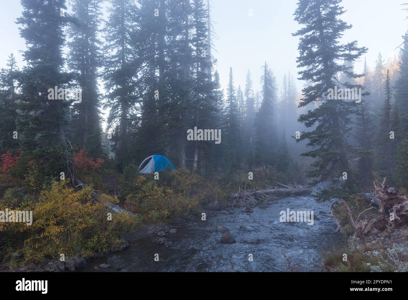 Zelt-Campingplatz am Fluss im yellowstone-Nationalpark Stockfoto