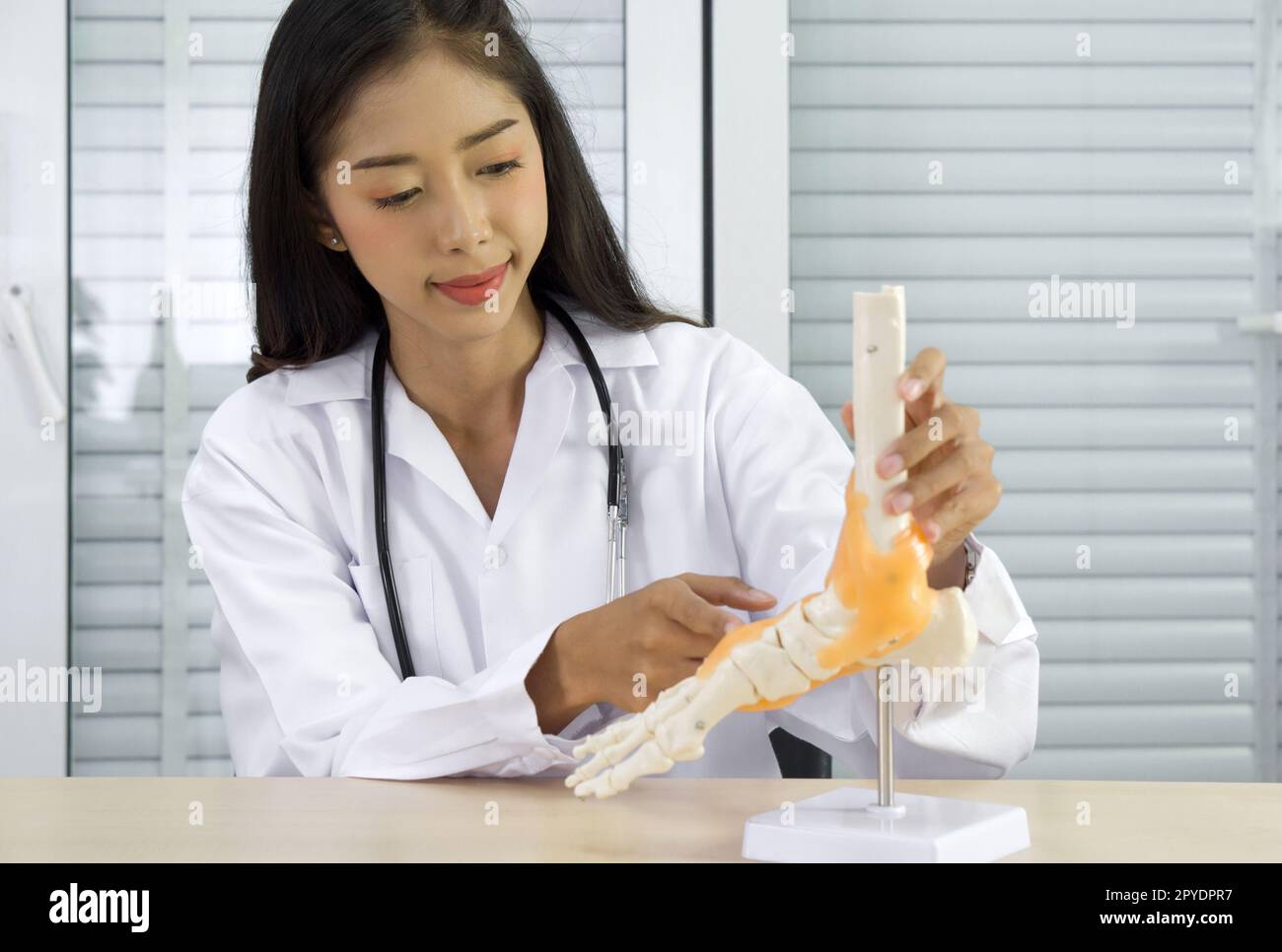 Junger asiatischer Arzt in weißem Kleid und Stethoskop, der auf das menschliche Skelett des Fußknöchelgelenkes zeigt, Anatomiemodell, dem Patienten über drahtlose Kommunikation präsentiert. Gesundheits- und Medizinkonzept. Stockfoto