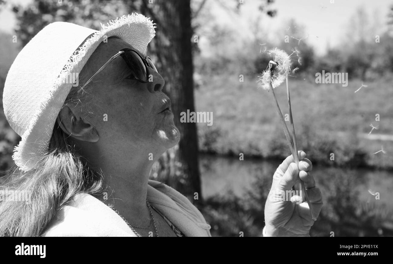 Eine Seniorin auf dem französischen Land bläst Löwenzahn Stockfoto