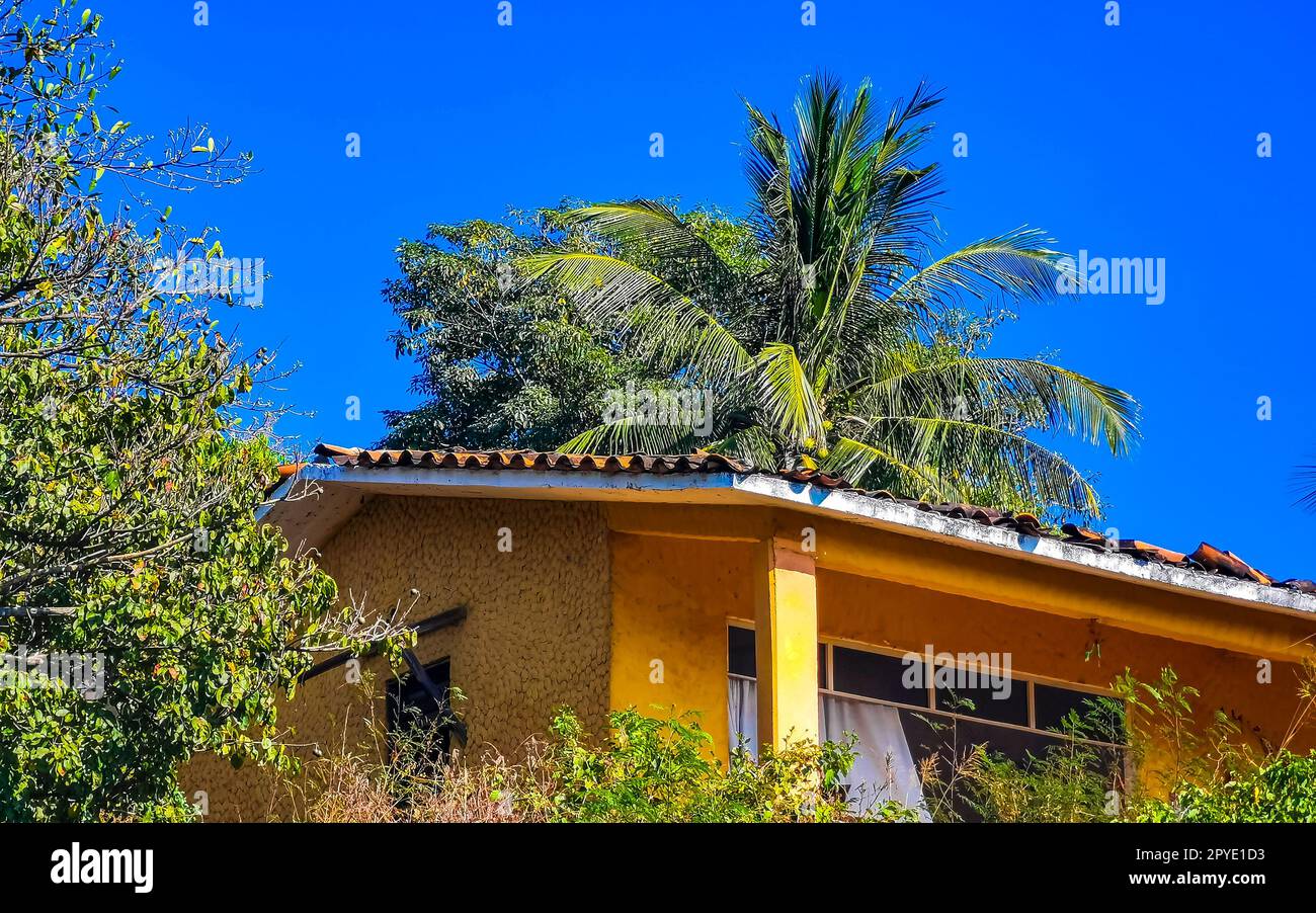 Hotels Resorts paradiesische Gebäude inmitten von Palmen Puerto Escondido. Stockfoto