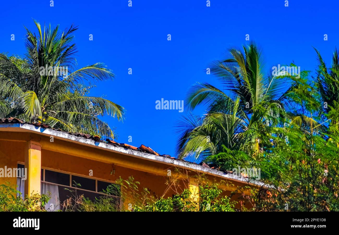 Hotels Resorts paradiesische Gebäude inmitten von Palmen Puerto Escondido. Stockfoto