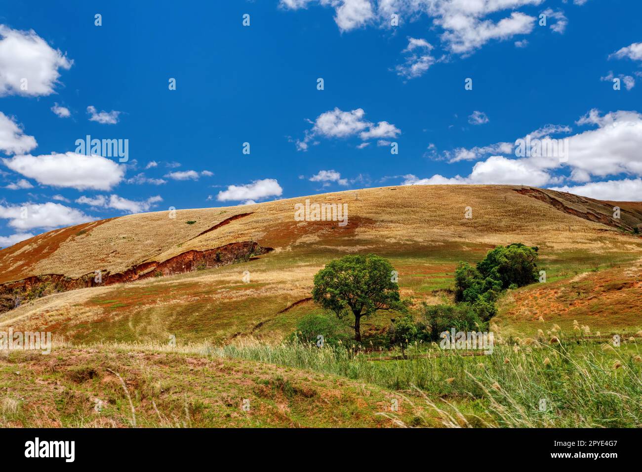 Verwüstete Landschaft im Zentrum Madagaskars - Provinz Mahajanga Madagaskar Stockfoto