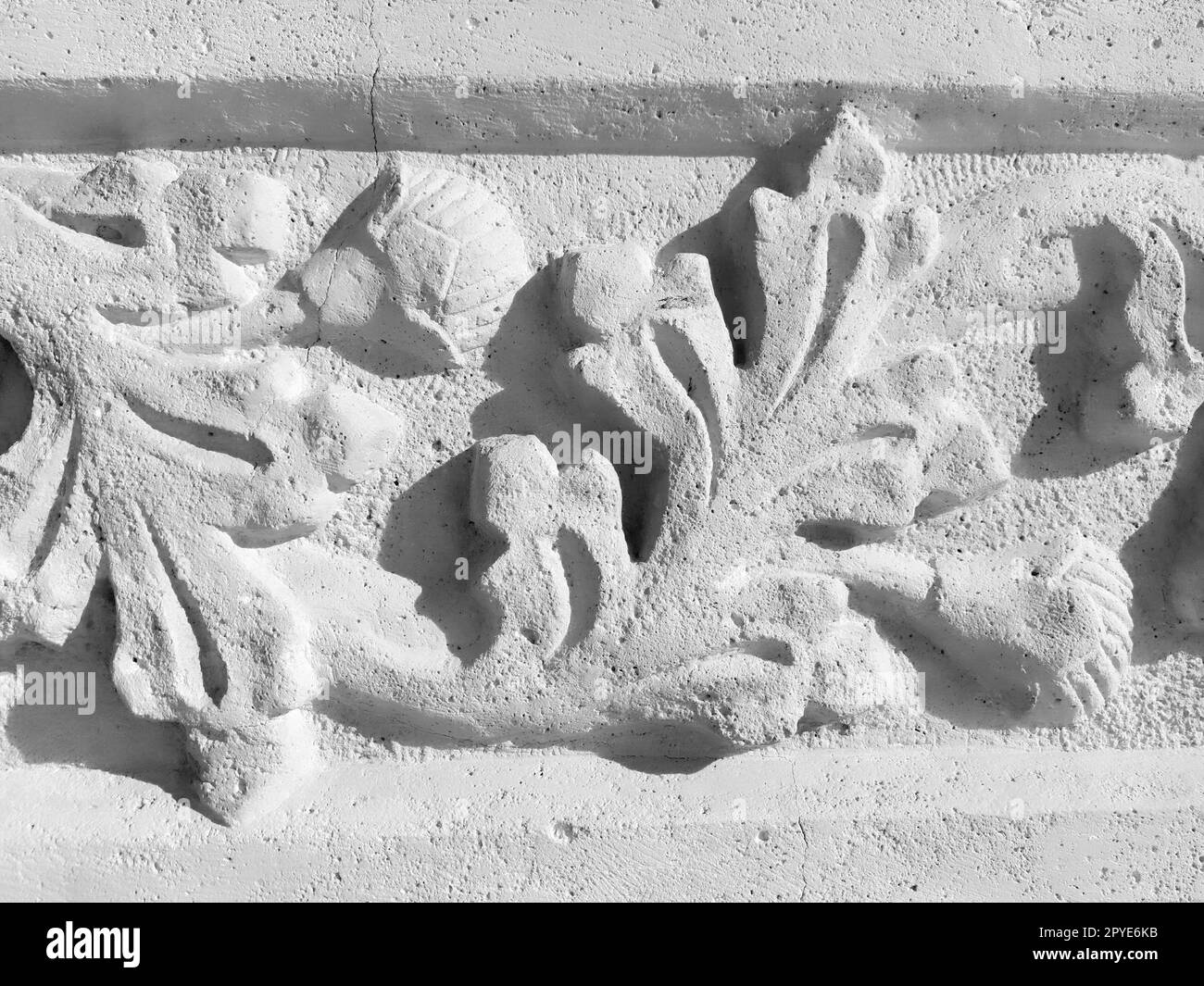 Ziergegenstände, skulpturelle Zeichnung strukturierter Pflanzenelemente. Dekoration der Wand mit Stuck in Dubrovnik, Kroatien. Ein Stück Shamrocks. Acanthus ist eine pflanzliche Vegetation, Blätter sind Stuckelemente. Stockfoto
