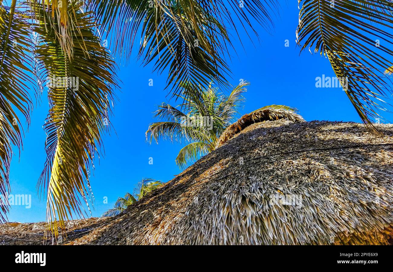 Hotels Resorts paradiesische Gebäude inmitten von Palmen Puerto Escondido. Stockfoto