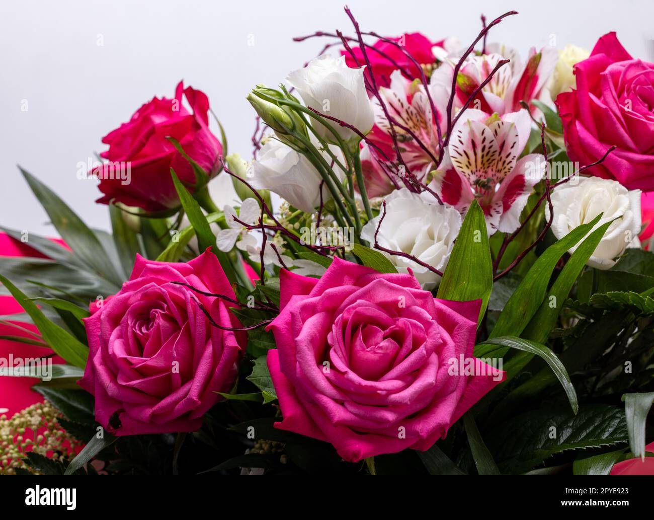 Schöner Blumenstrauß von Rosen und Freesias Stockfoto