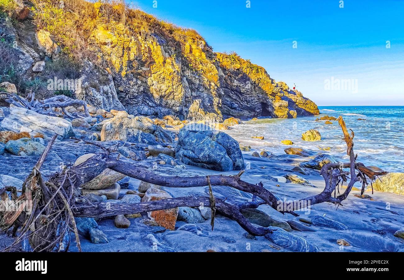Wunderschöner pazifik Strand mit angespültem Baumstamm Holz Mexiko. Stockfoto