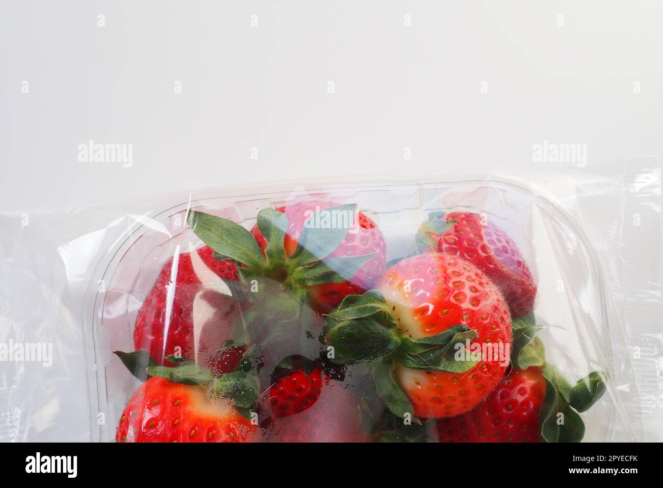 Reife Erdbeeren in einer Kunststoffverpackung auf weißem Hintergrund. Köstliche frische Beeren in einem Behälter zum Verkauf an Kunden. Lebensmittel frisch halten. Gesunde Lebensmittel, Vitamine und Mikroelemente. Stockfoto