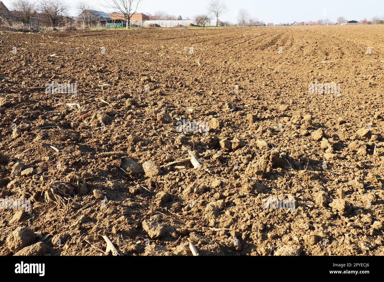 Ackerland bereit für landwirtschaftliche Frühjahrsarbeiten. Schwarze Erde gepflügt. Maismehl auf dem Boden. Fruchtbarer Boden zum Anpflanzen. Düngemittel sind der Schlüssel zu einer guten Ernte. Landwirtschaftliche Arbeiten Stockfoto