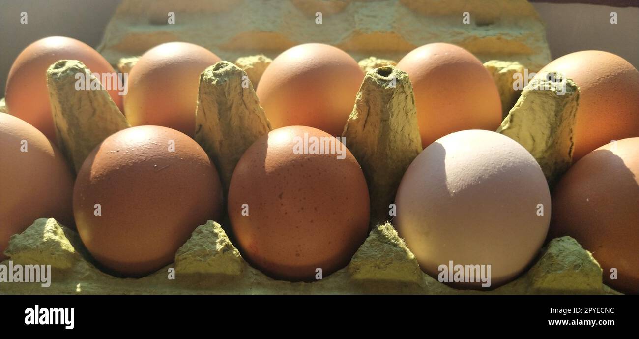 Hühnereier in einem Karton. Beige Eier in einem Behälter, wenn sie von der Frühlingssonne beleuchtet werden. Zutaten. Landwirtschaftliche Erzeugnisse. Bauernfutter. Richtige Eiweissernährung. Recycelte Verpackung. Demographiekonzept. Stockfoto