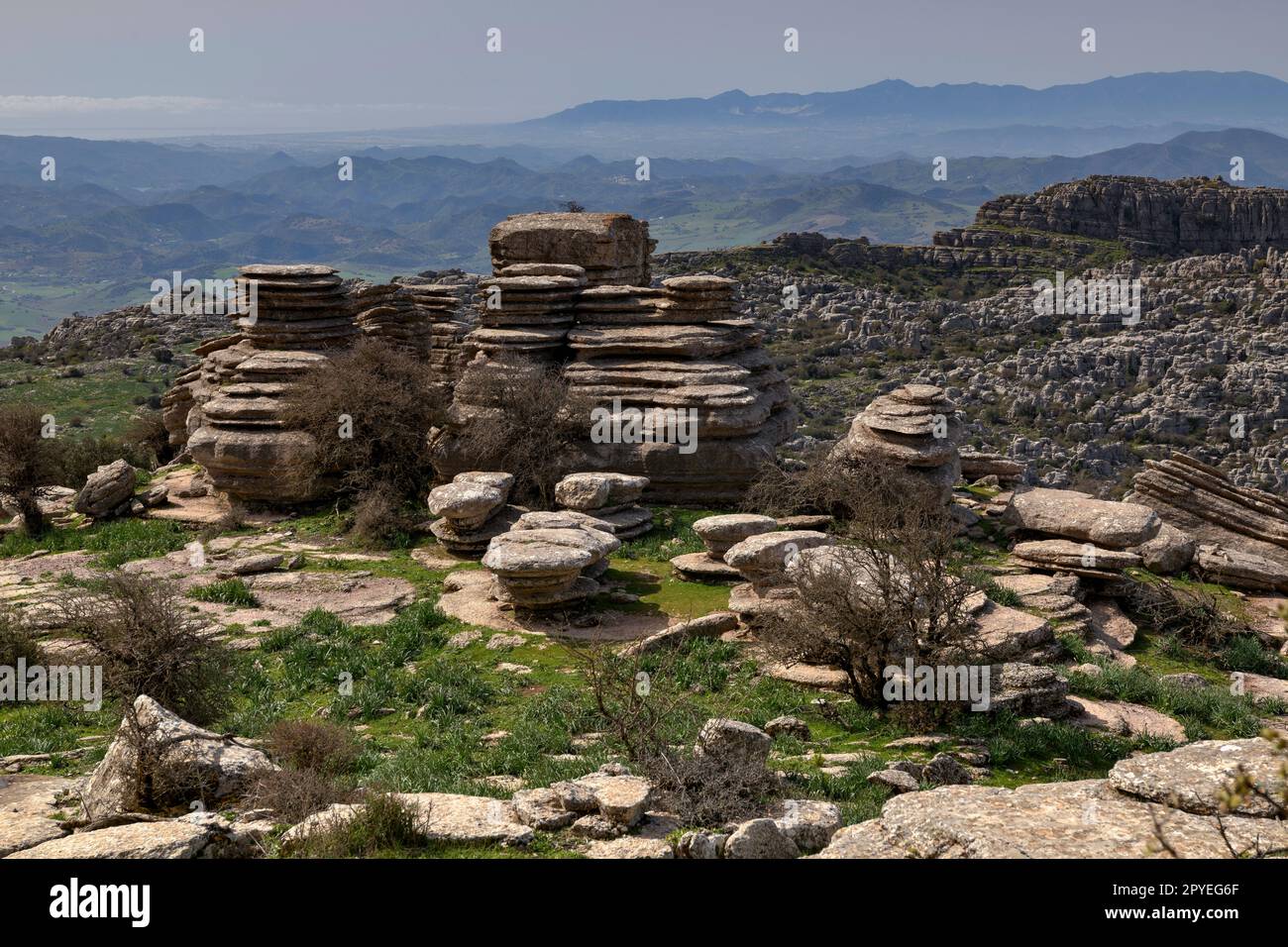 El Torcal de Antequera. Bonitos paisajes Karsticos, con muchas huellas de Amonites. Stockfoto