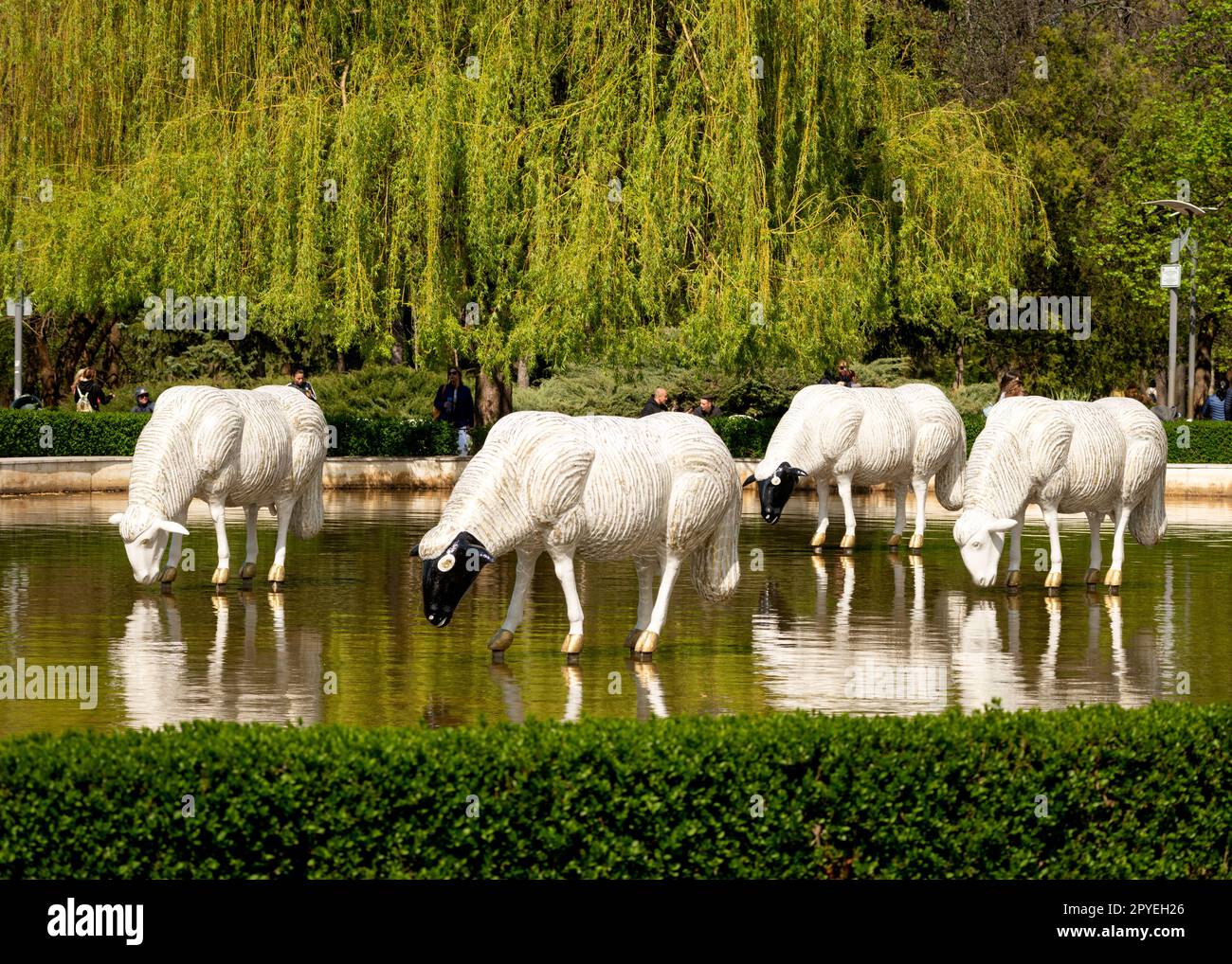 Zahlreiche Schafe in einer öffentlichen Brunnenanlage des bulgarischen Bildhauers Pawel Koychev in South Park, Sofia, Bulgarien, Osteuropa, Balkan, EU Stockfoto