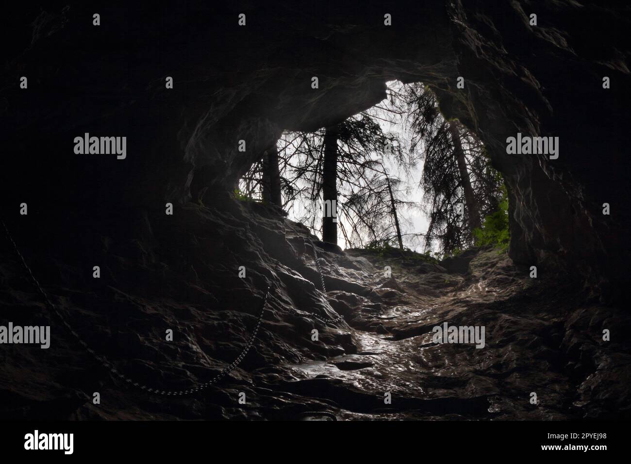 Die Höhle Smocza Jama in Polen Stockfoto